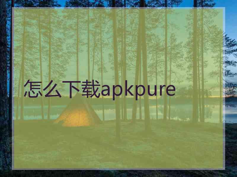 怎么下载apkpure