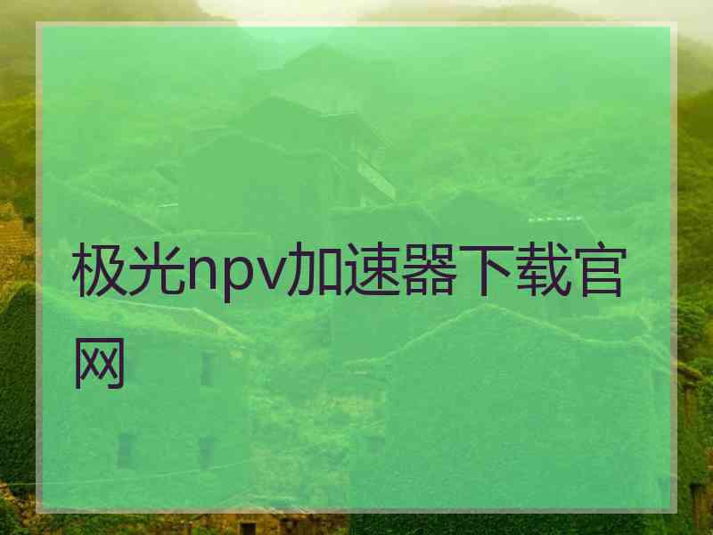 极光npv加速器下载官网