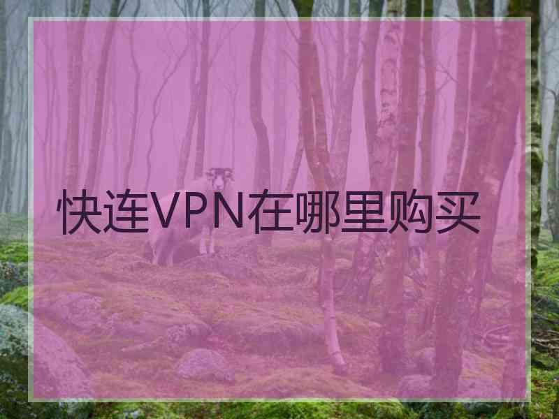 快连VPN在哪里购买