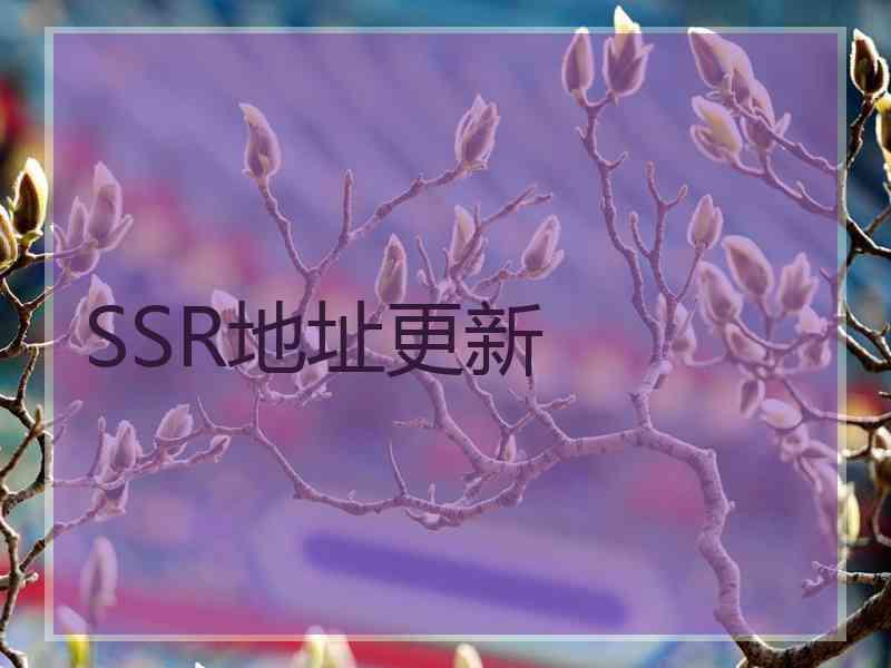 SSR地址更新