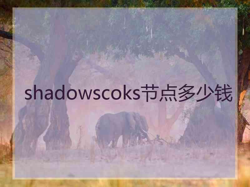 shadowscoks节点多少钱