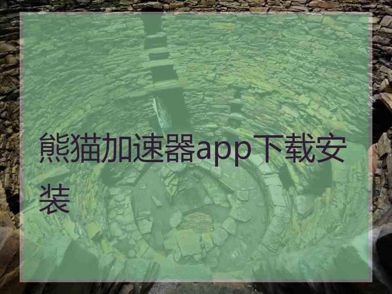 熊猫加速器app下载安装