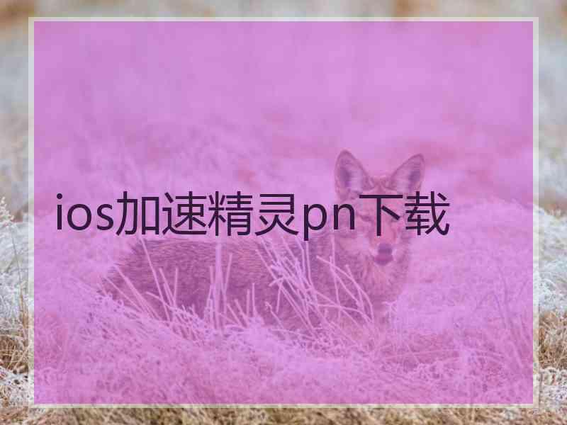 ios加速精灵pn下载