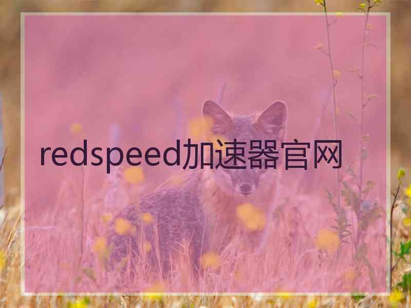 redspeed加速器官网