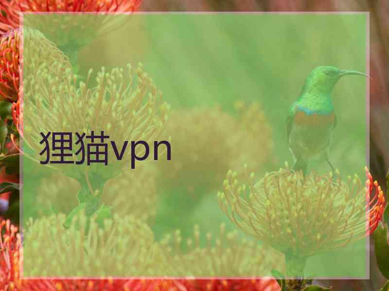 狸猫vpn