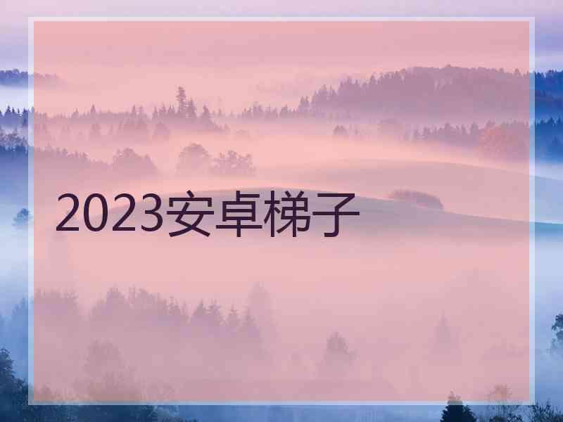 2023安卓梯子