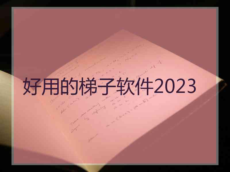 好用的梯子软件2023