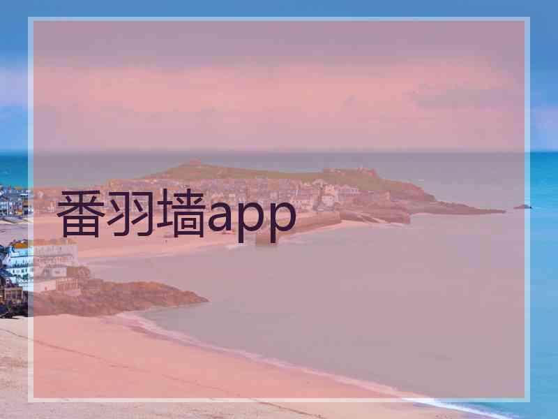 番羽墙app