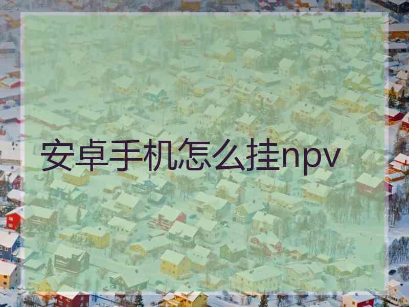 安卓手机怎么挂npv