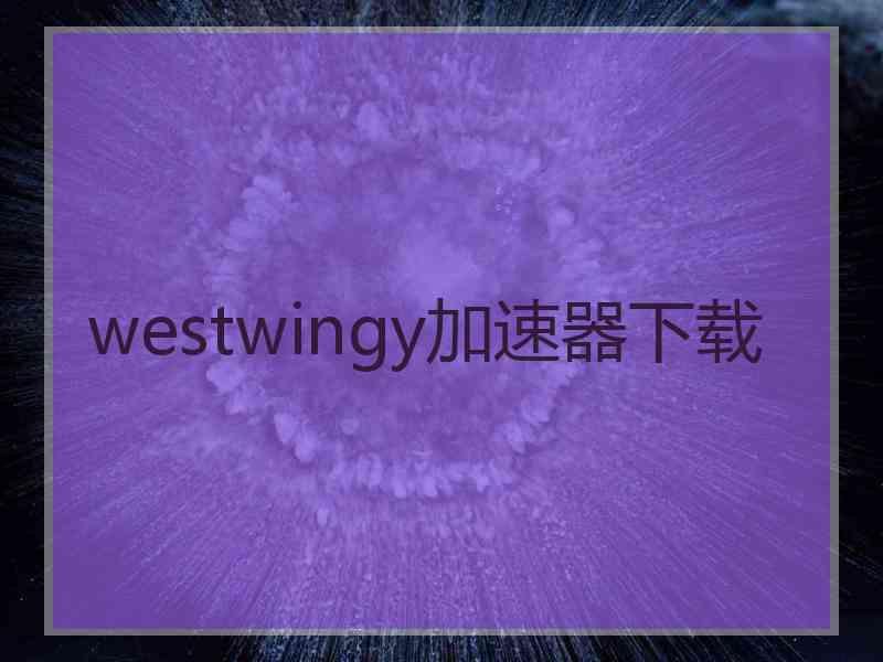 westwingy加速器下载