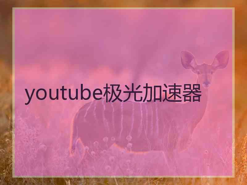 youtube极光加速器