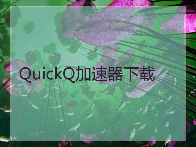 QuickQ加速器下载