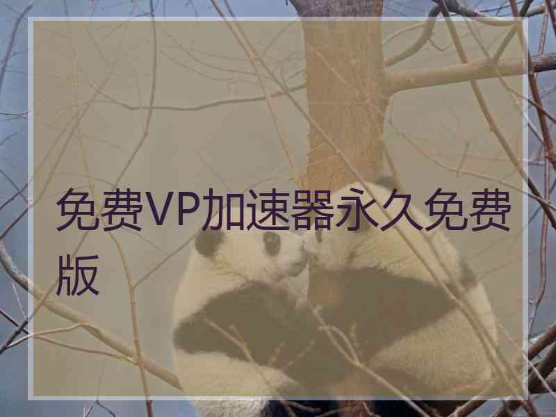 免费VP加速器永久免费版