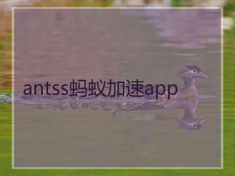 antss蚂蚁加速app