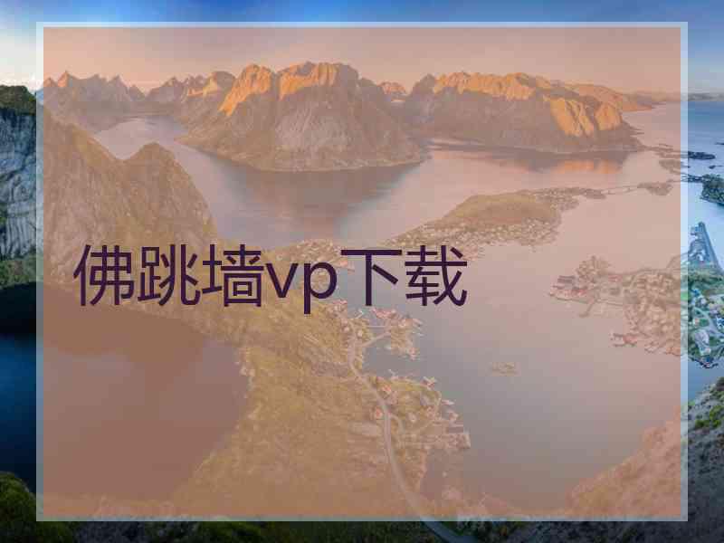 佛跳墙vp下载