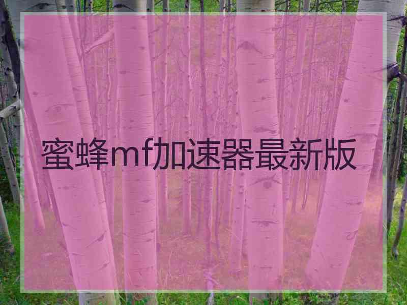 蜜蜂mf加速器最新版