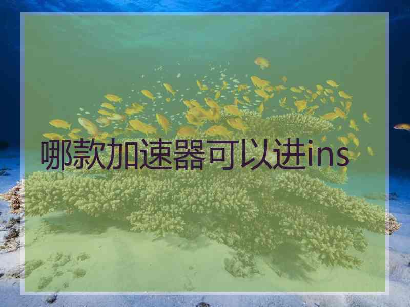 哪款加速器可以进ins