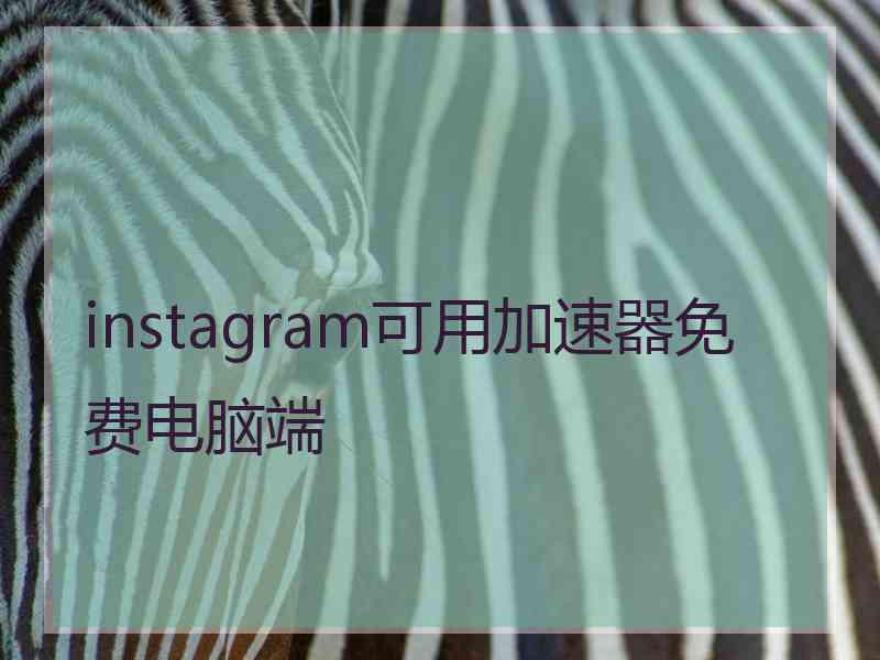 instagram可用加速器免费电脑端