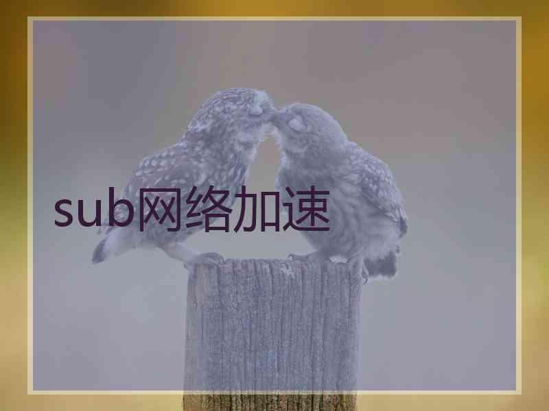 sub网络加速