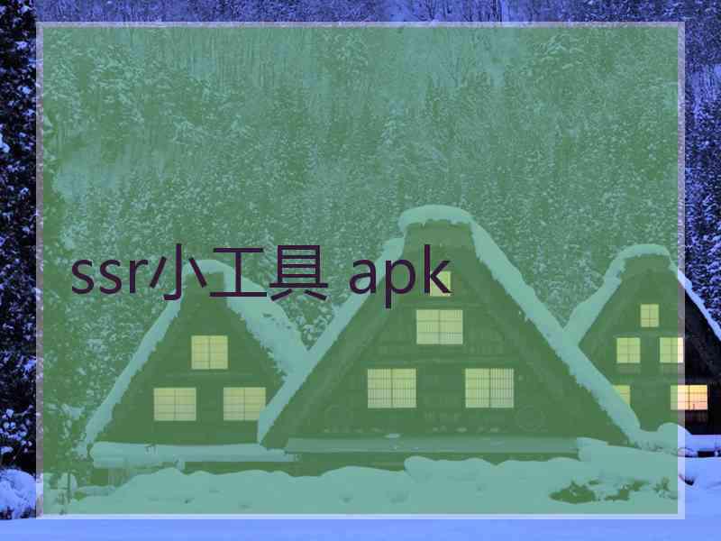 ssr小工具 apk