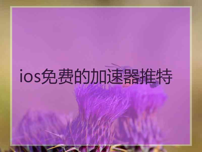 ios免费的加速器推特