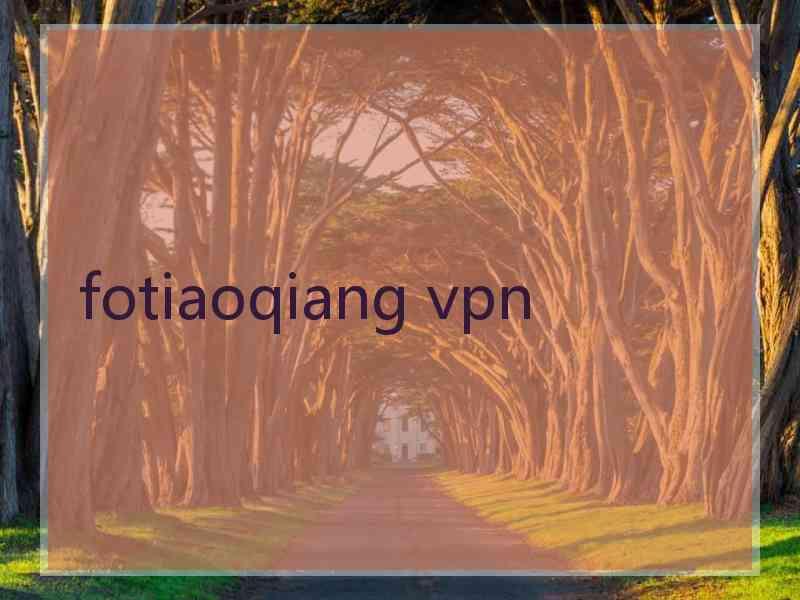 fotiaoqiang vpn