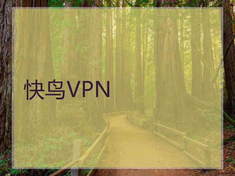 快鸟VPN