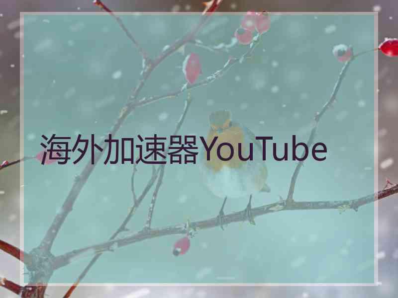 海外加速器YouTube