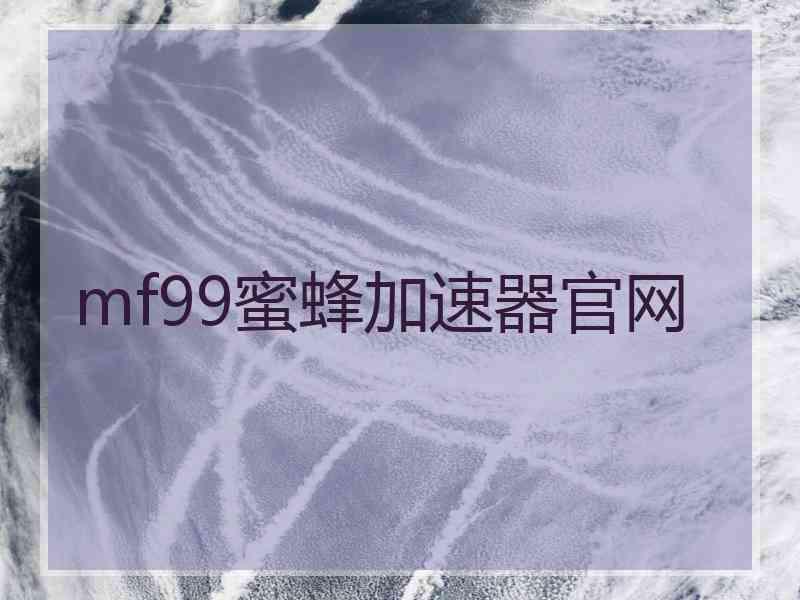 mf99蜜蜂加速器官网