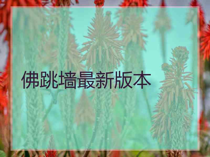 佛跳墙最新版本