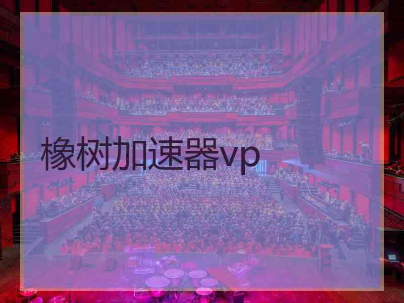 橡树加速器vp