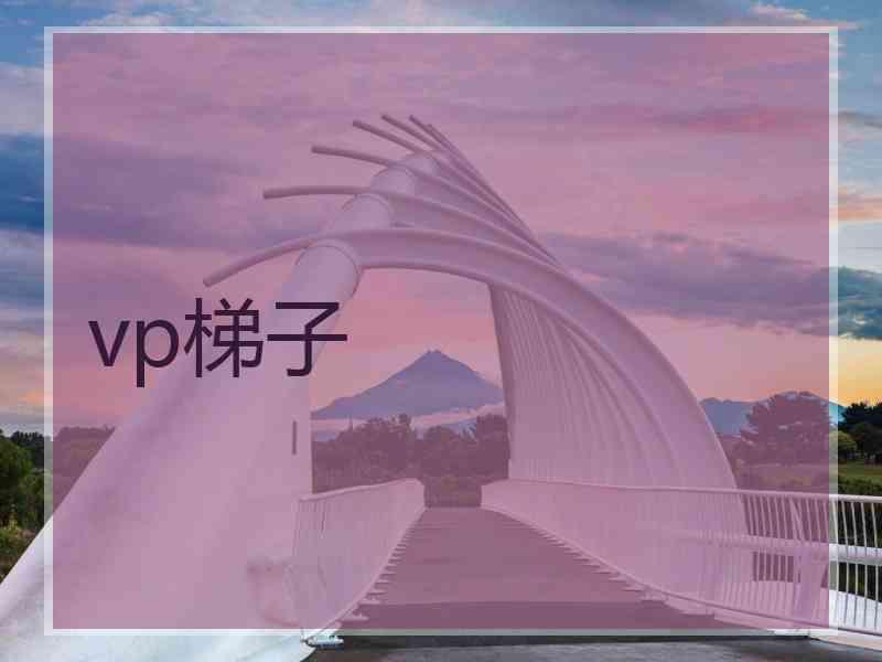 vp梯子