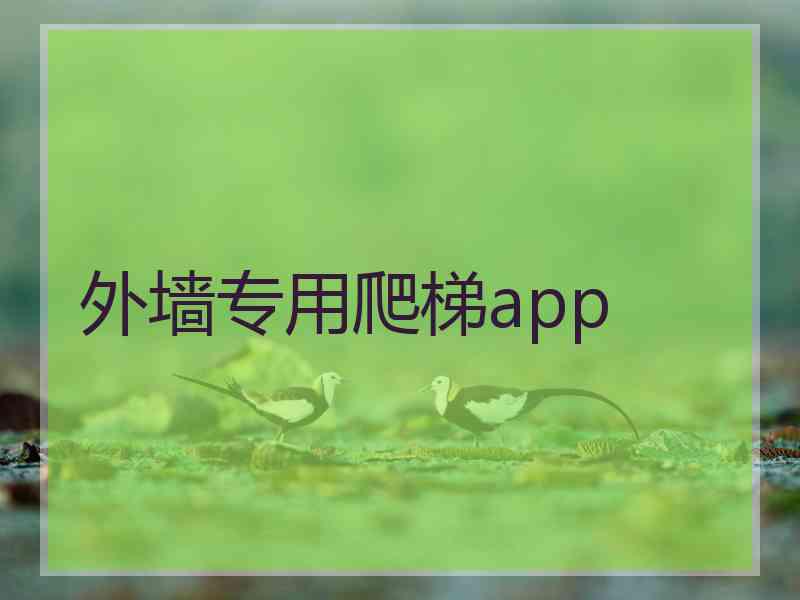 外墙专用爬梯app