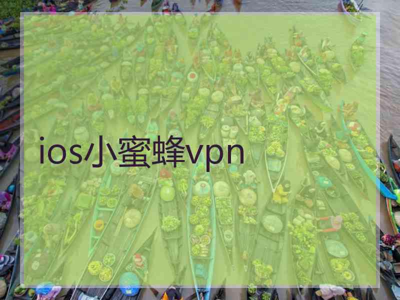 ios小蜜蜂vpn