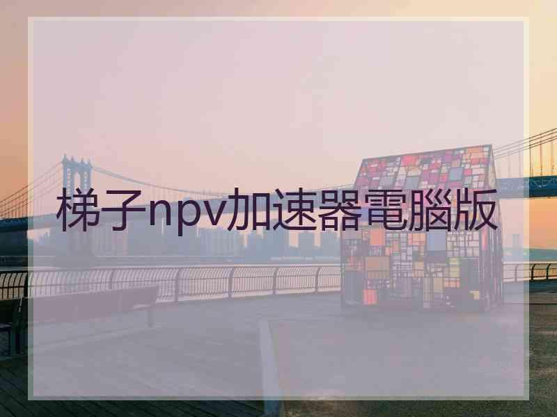 梯子npv加速器電腦版