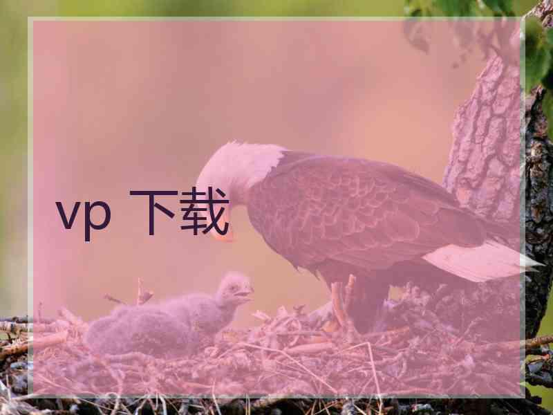 vp 下载