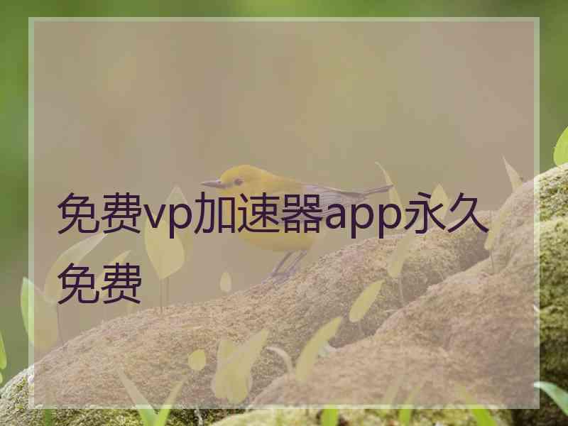 免费vp加速器app永久免费