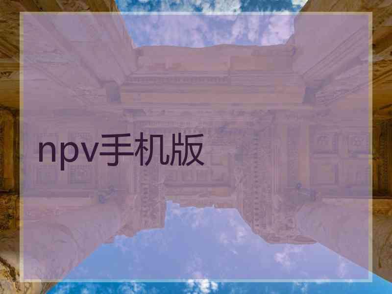 npv手机版