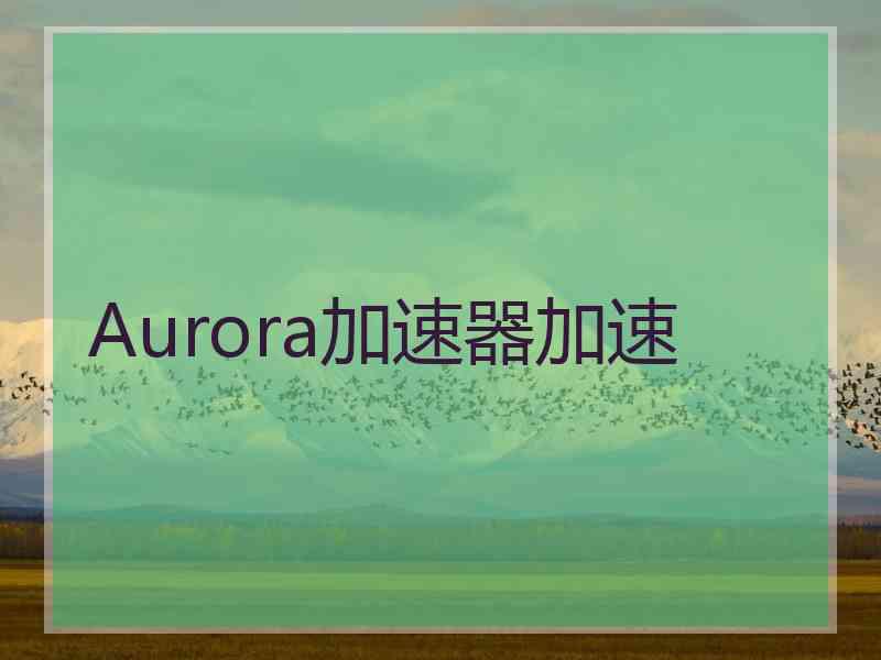 Aurora加速器加速