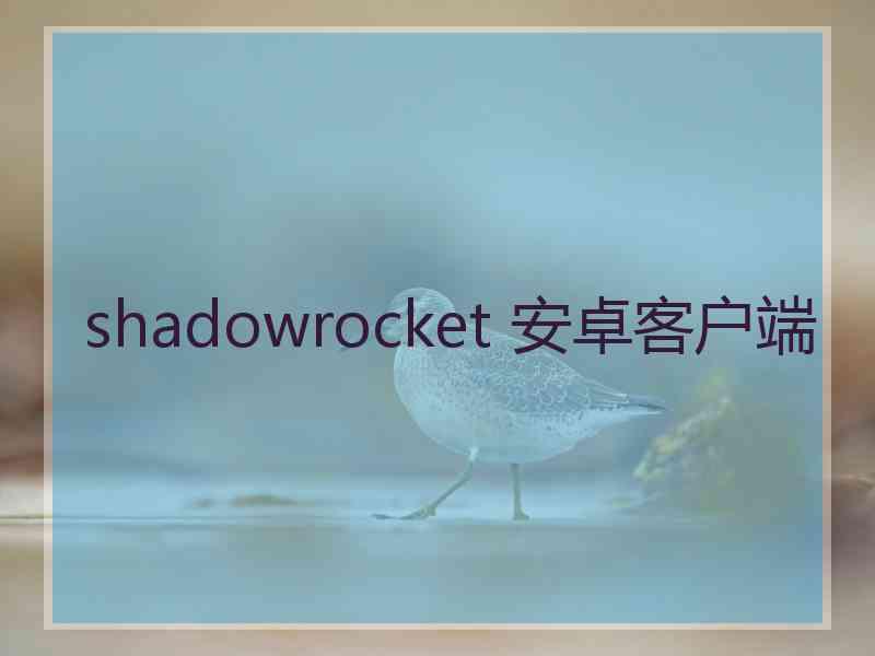 shadowrocket 安卓客户端