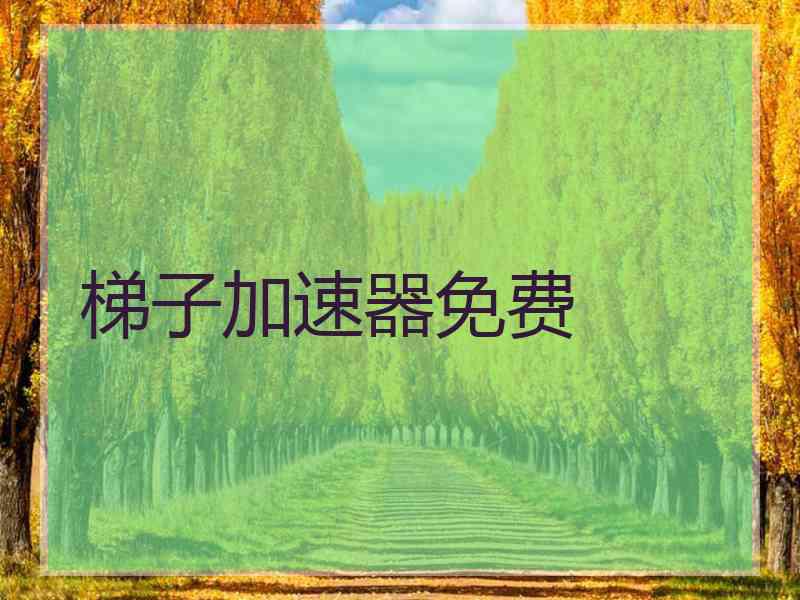 梯子加速器免费