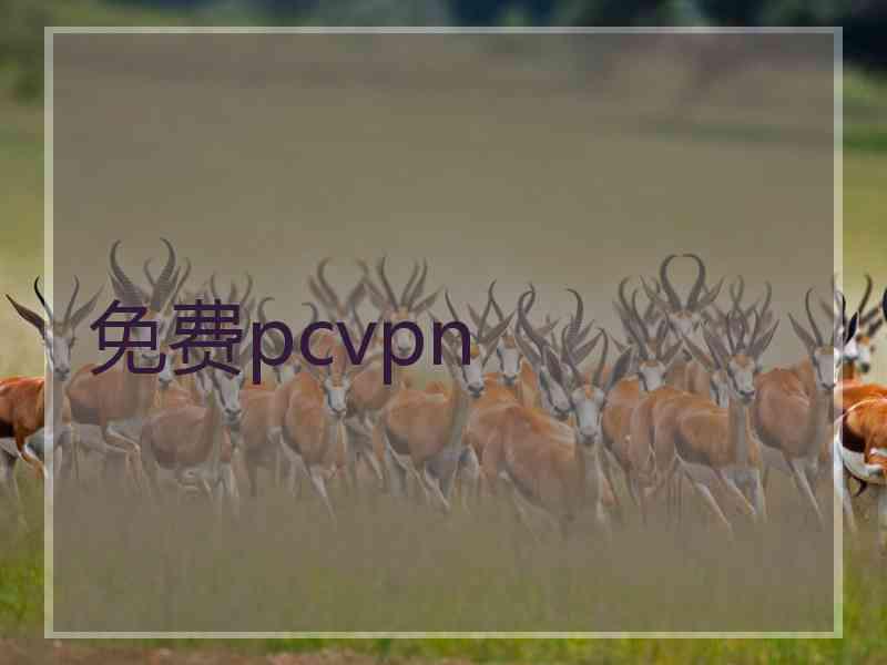 免费pcvpn