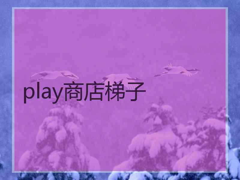 play商店梯子