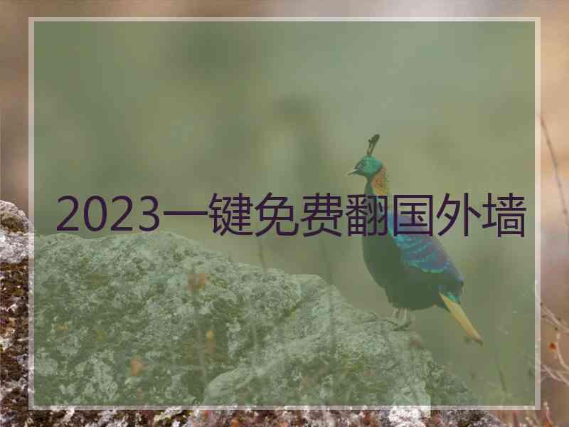 2023一键免费翻国外墙