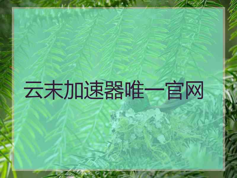 云末加速器唯一官网