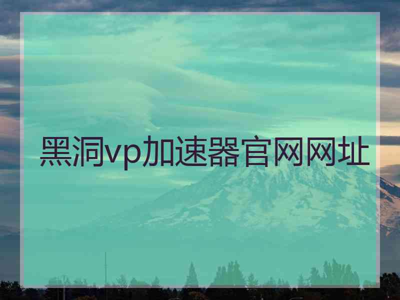 黑洞vp加速器官网网址