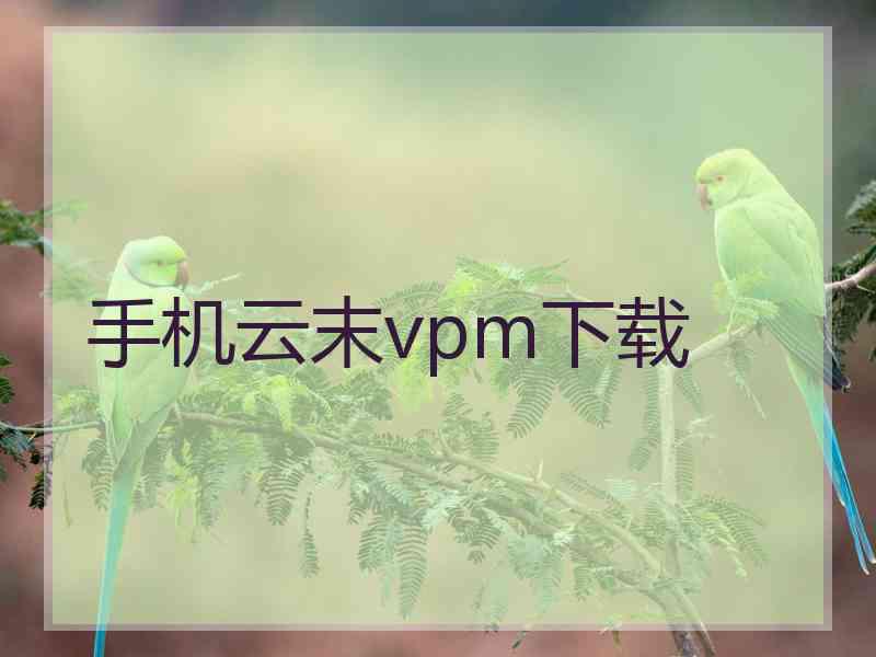 手机云末vpm下载