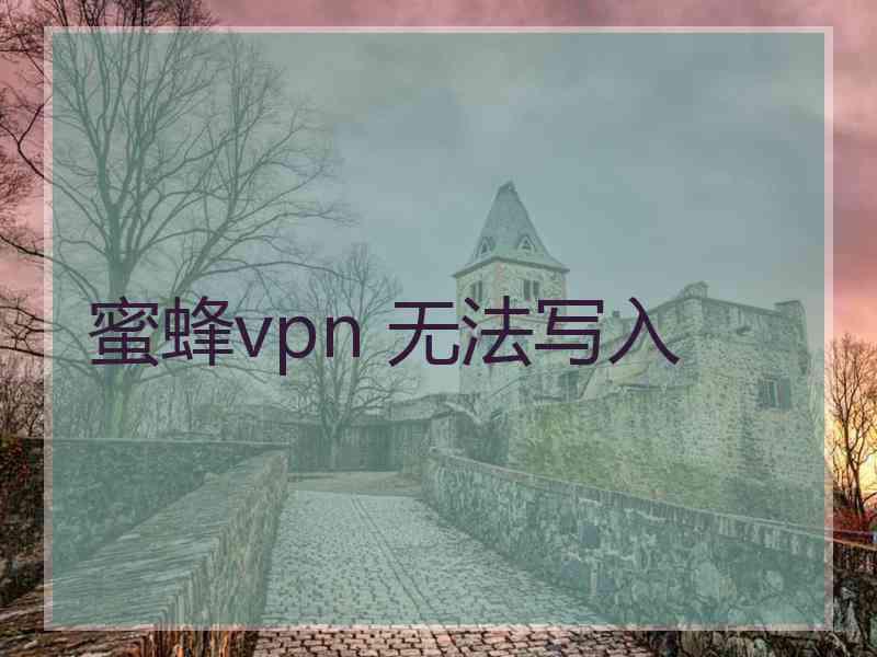 蜜蜂vpn 无法写入