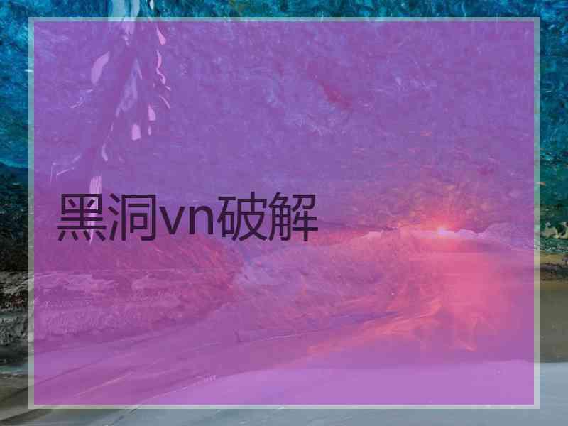 黑洞vn破解