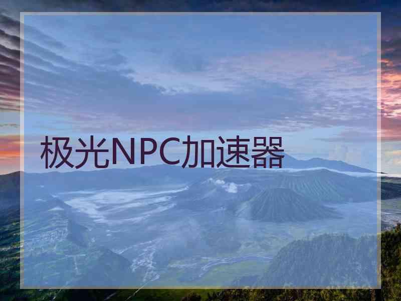 极光NPC加速器